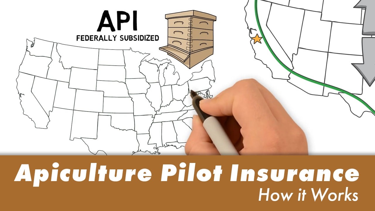 Apiculture Pilot Insurance (API) How it Works