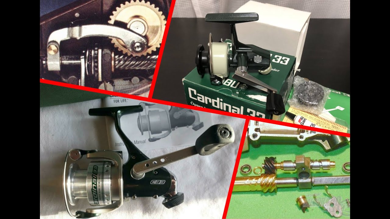 1300 подписчиков на канале! Зелёный и с хвостом! Крокодил? Нет - Abu Cardinal C33!