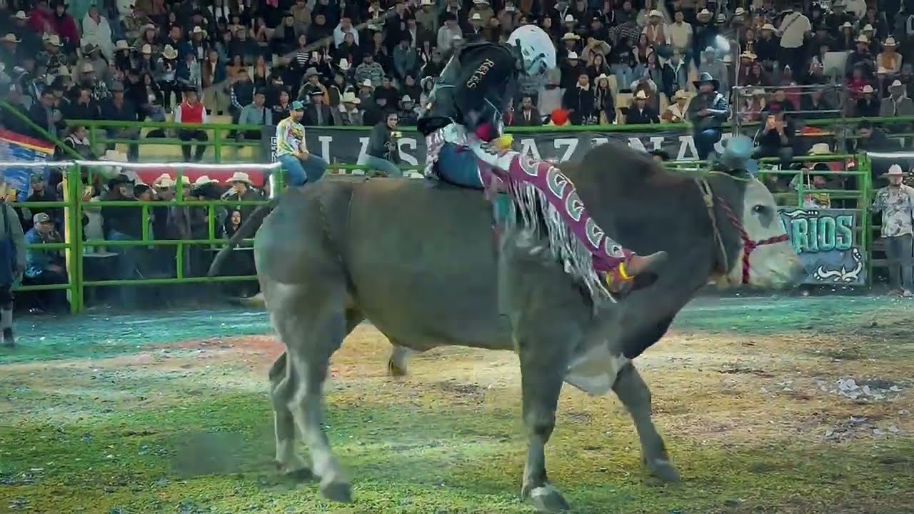 RANCHO LA REVOLUZION VS LOS REYES DE JALISCO TEPETLIXPA 2026.