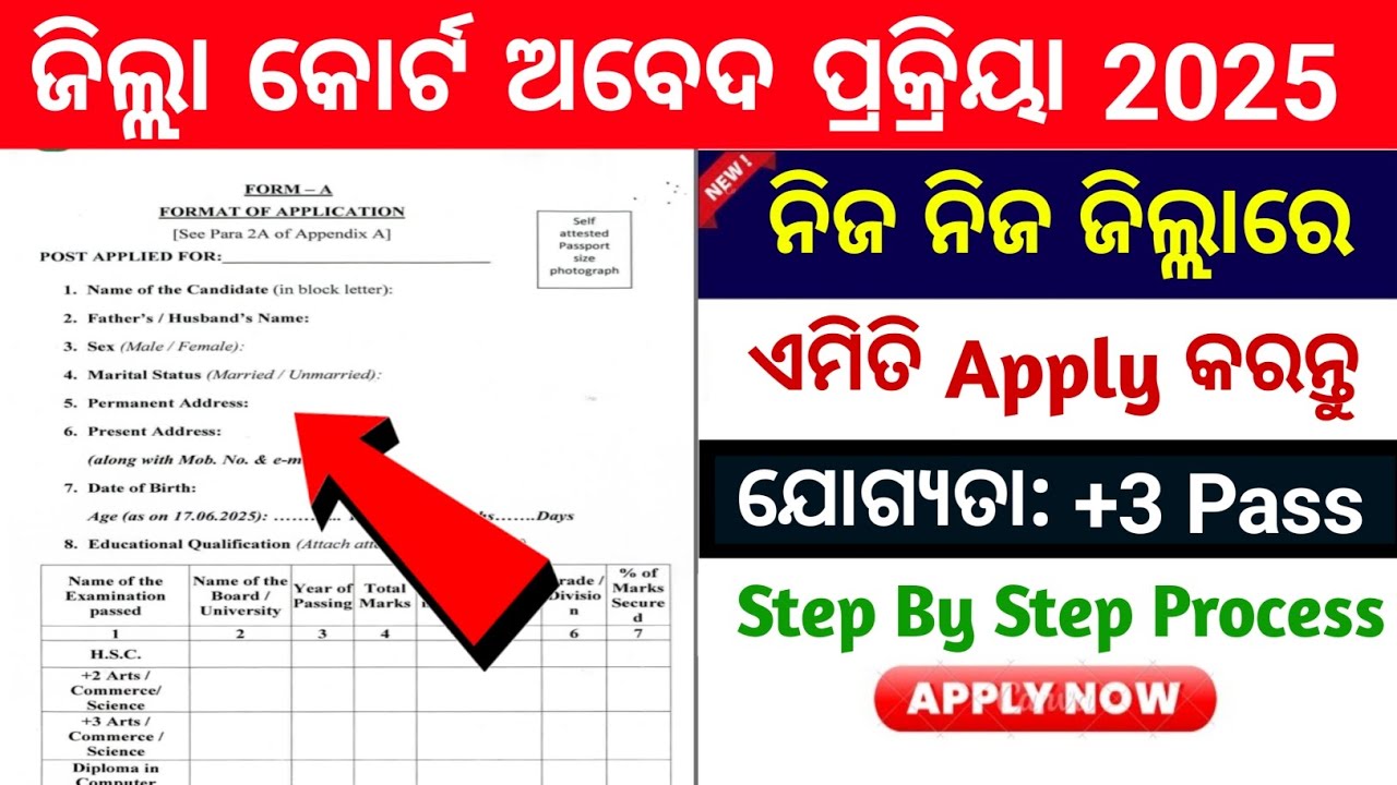How to apply Odisha district court 2025