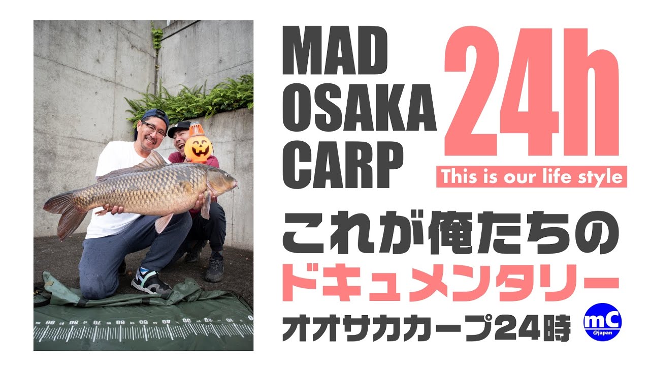 【鯉釣り】オオサカカープ24時【MAD OSAKA CARP】