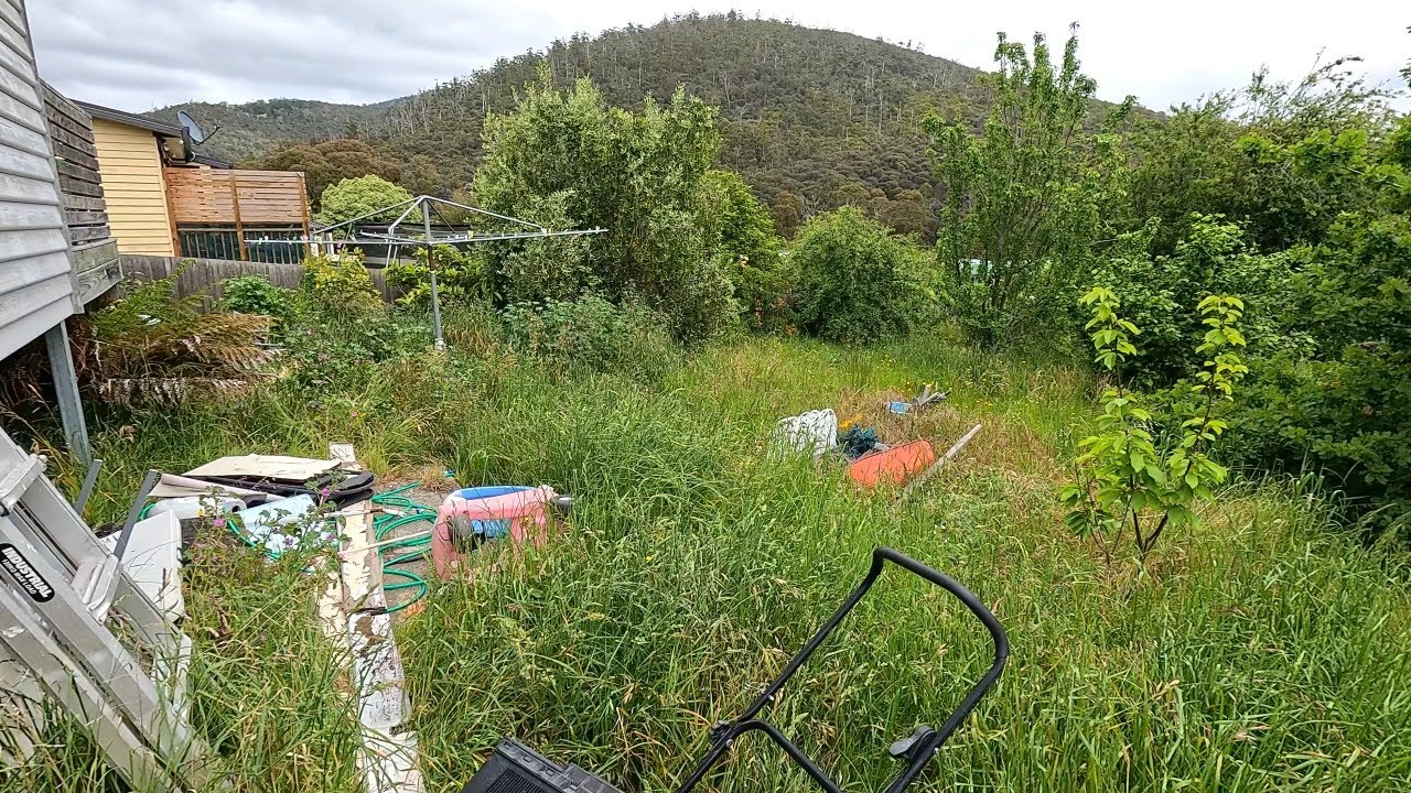 We Helped This Single Mother Reclaim Her Yard | EXTREME Backyard Cleanup