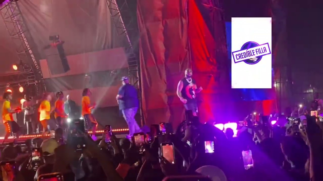 DAVIDO&rsquo;S PERFORMANCE AT THE AFRO FUTURE FESTIVAL 2023 IN GHANA (SNIPPET) #davido #afrofuture #ghana