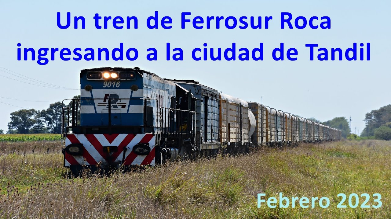 Un tren de Ferrosur Roca ingresando a la ciudad de Tandil - Febrero 2023