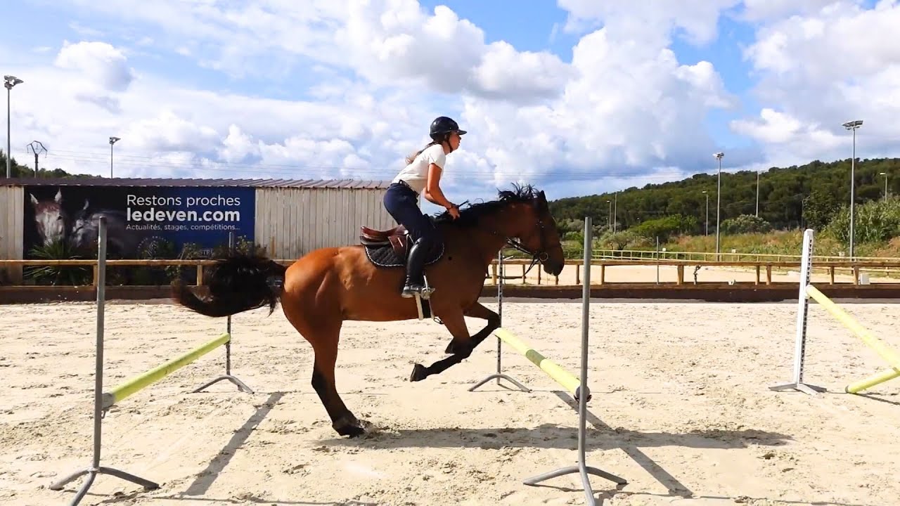 EQUITATION : Le pouvoir des Mécanisations à l'obstacle