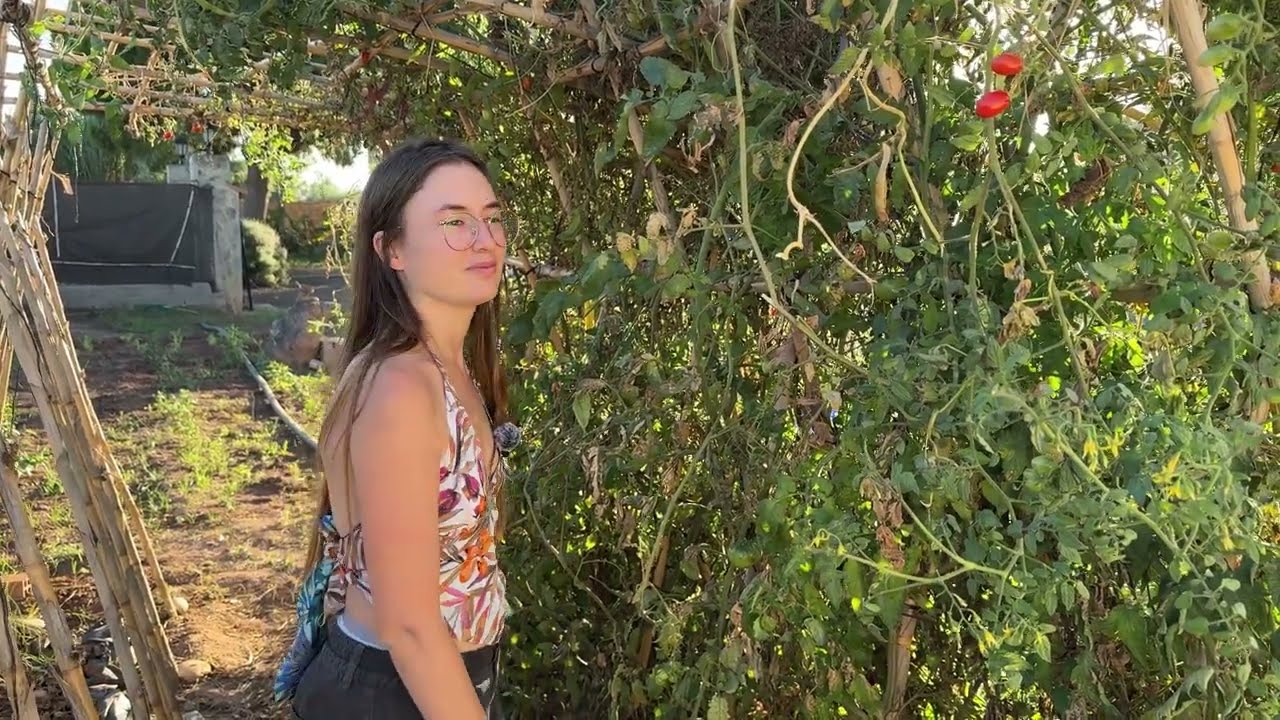 Tour por mi huerto - Fin del verano e inicio del otoño (Septiembre)