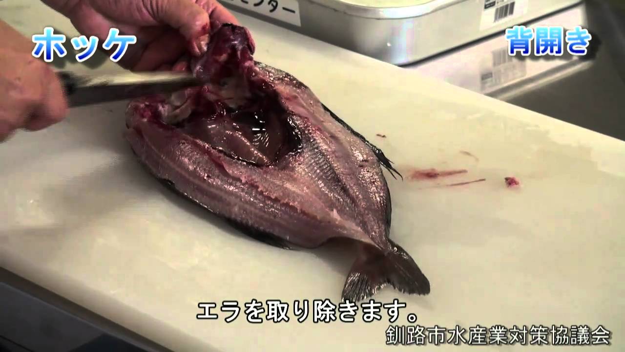ホッケ背開き