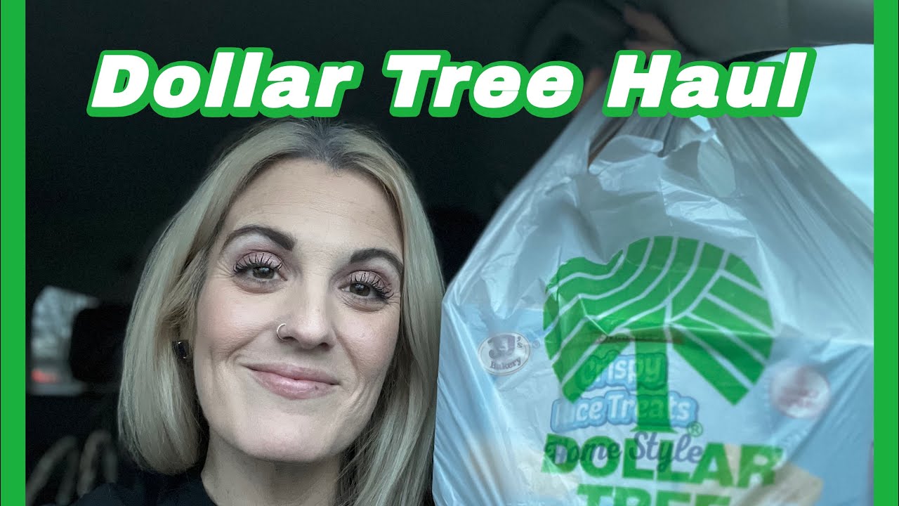 Dollar Tree after work haul 