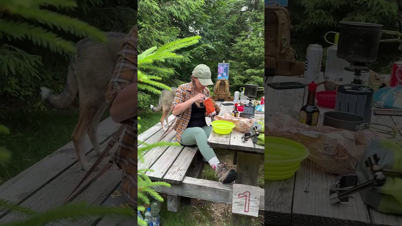 Wildcampen in Deutschland - ganz legal! #wildcamping