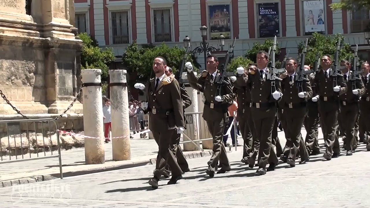 Desfile Militar Día de San Fernando.- Arma de Ingenieros.Sevilla 2014.