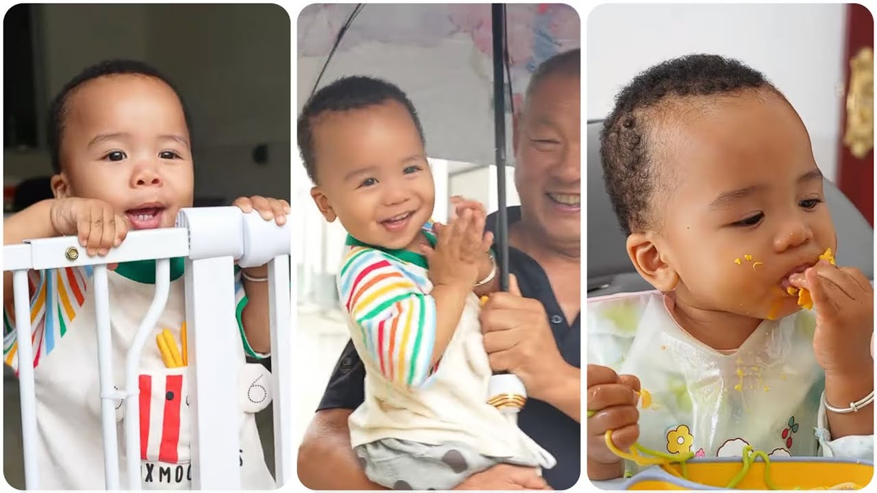 Even the Fence Can’t Stop Kaikai — He Insists on Playing in the Rain 🌧️