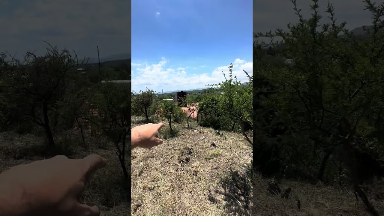 French 2126 - terreno en venta - 650m2 con derechos y acciones posesorios veinteañales - en venta 