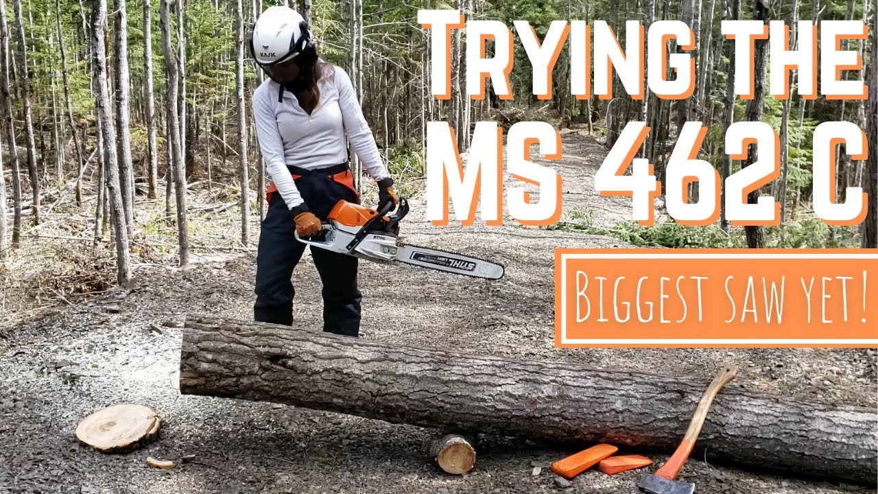 Trying out a Stihl MS 462 C