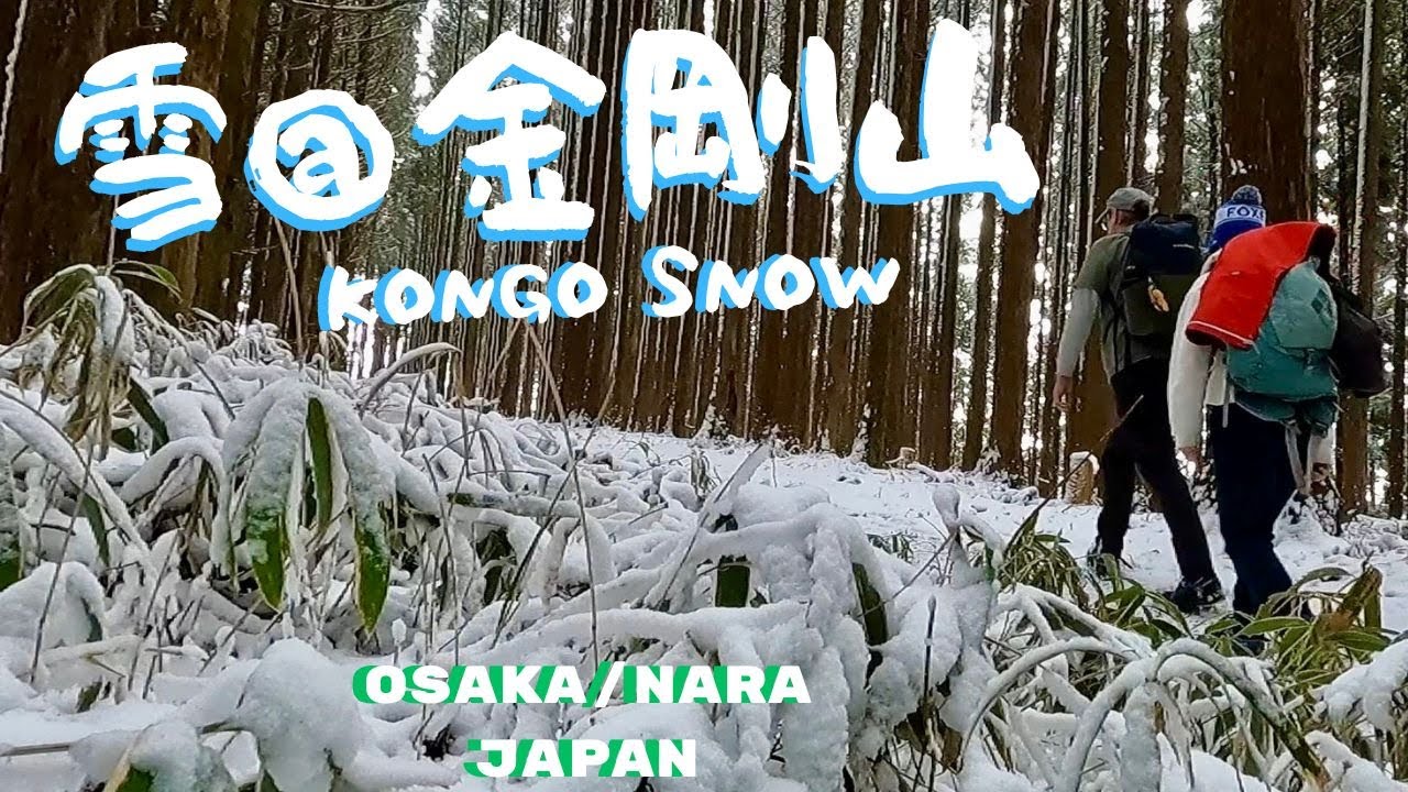 WE’RE BACK in Mt.KONGO SNOW !? 金剛山⛄️林道久留野線⤴️馬の背⤵️