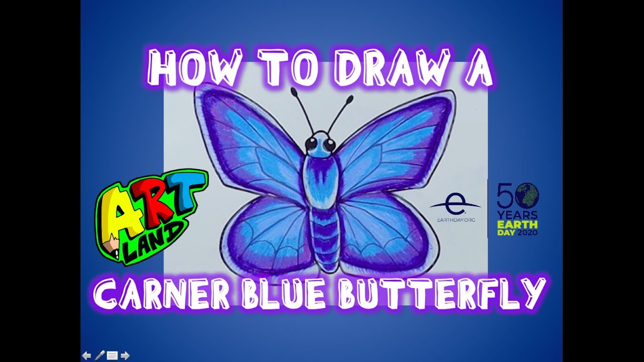 How to Draw a CARNER BLUE BUTTERFLY