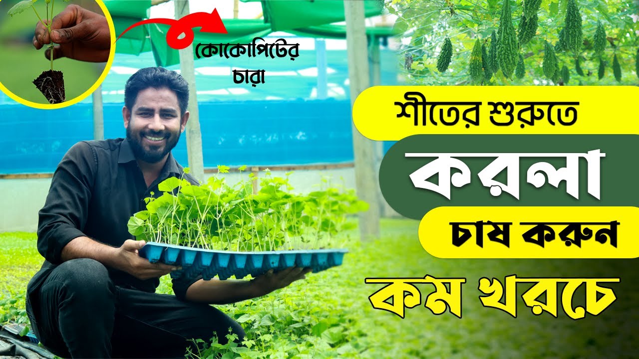 শীতের আগে কোন সবজি চাষ করলে বেশি লাভ পাবেন? 😍 কোকোপিটে উৎপাদিত চারা সংগ্রহ করুন এগ্রো-১ থেকে🌱