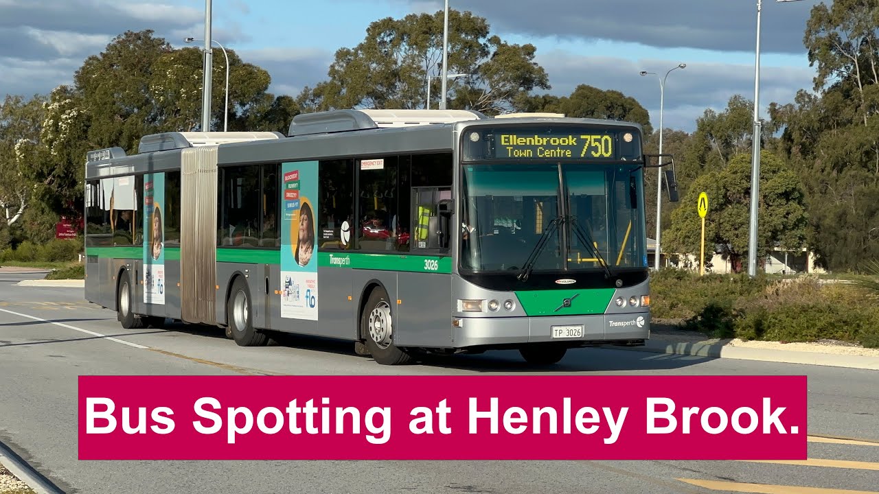Bus Spotting at Henley Brook