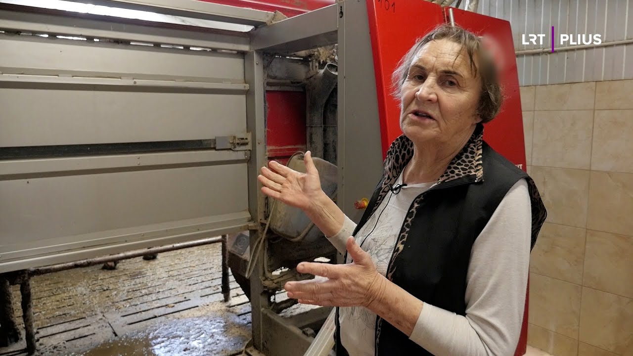 Robotizuotas ūkis Kupiškio rajone