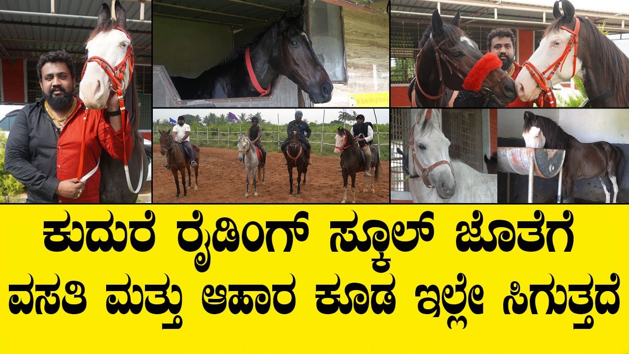 ಕುದುರೆ ರೈಡಿಂಗ್ ಸ್ಕೂಲ್ ಜೊತೆಗೆ ವಸತಿ ಮತ್ತು ಆಹಾರ ಕೂಡ ಇಲ್ಲೇ ಸಿಗುತ್ತದೆ..HORSE FARM VIDEO