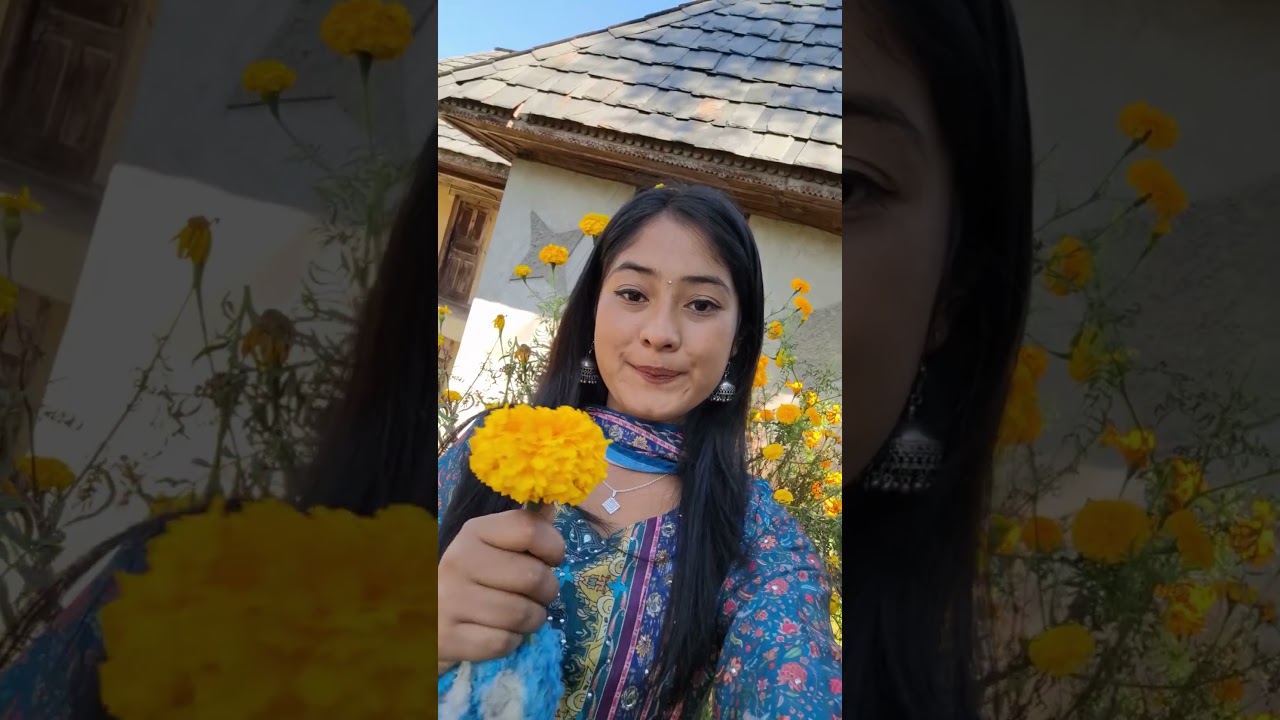 Beautiful culture of Devbhoomi Himachal 🙏🏔️ // Day 180 // Life with me pahadan // #minivlog #hp