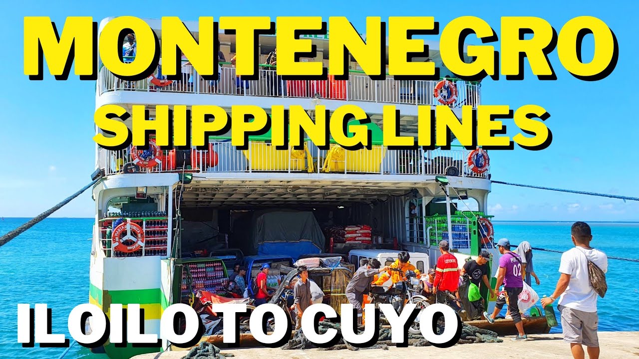 Port Of Iloilo City, Philippines | 12hrs Journey With Two Dogs | Iloilo To Cuyo, Palawan