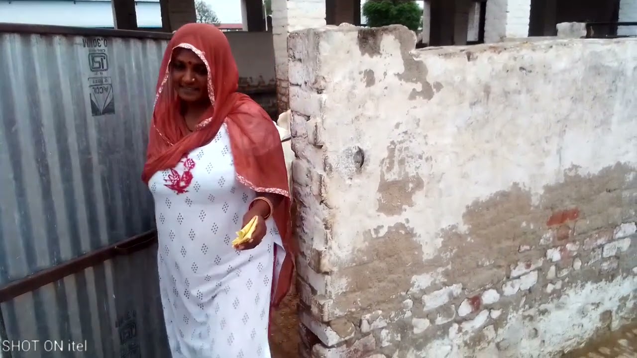 गौशाला में गायों की सेवा। एक बहतरीन ब्लॉग।