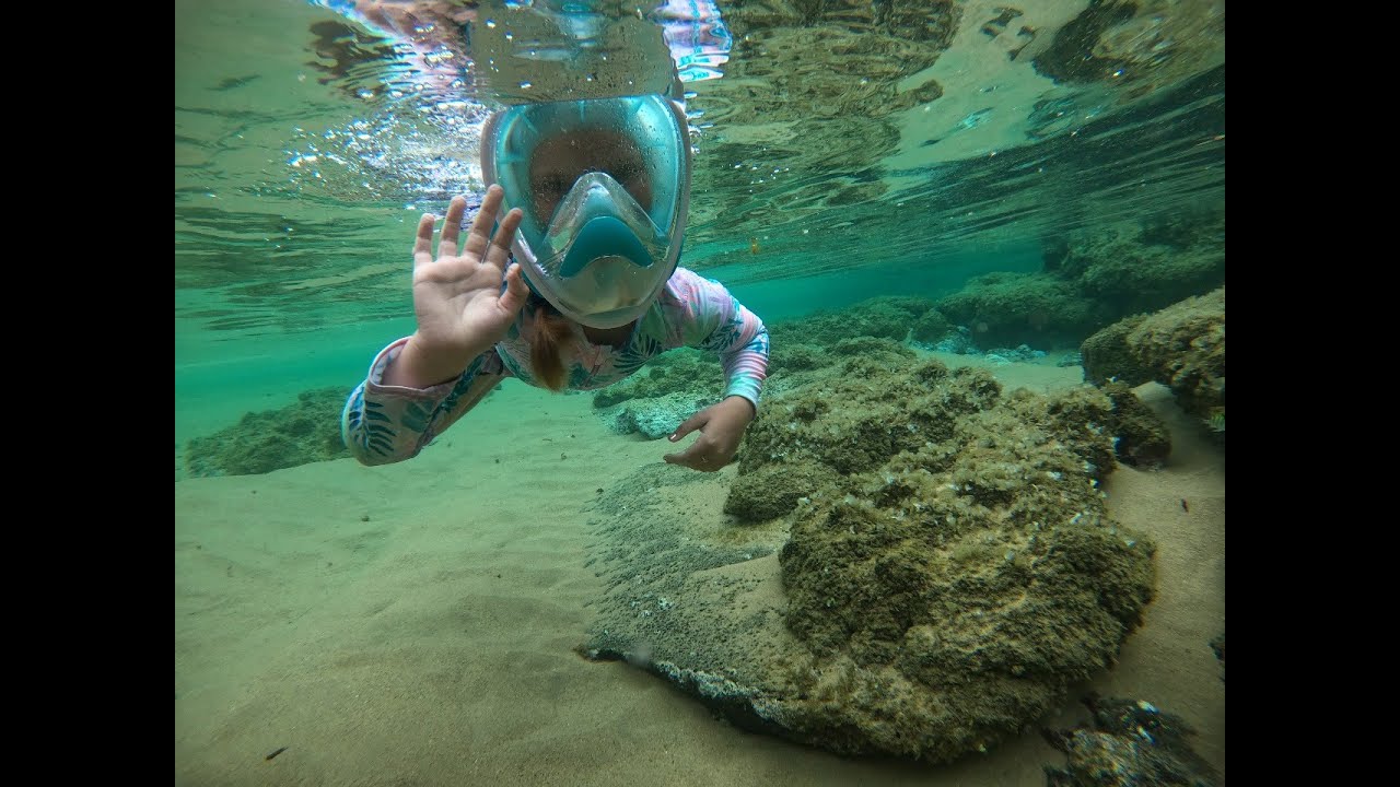 Kosi Bay Dog Point Epic Snorkeling