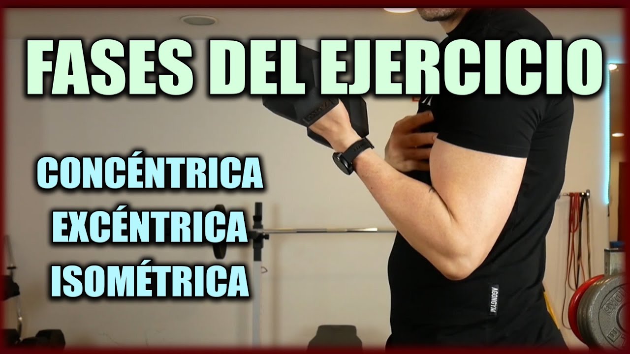 ➡️ Todas las FASES del RECORRIDO del EJERCICIO ➜ Concéntrica, Excéntrica e Isométrica