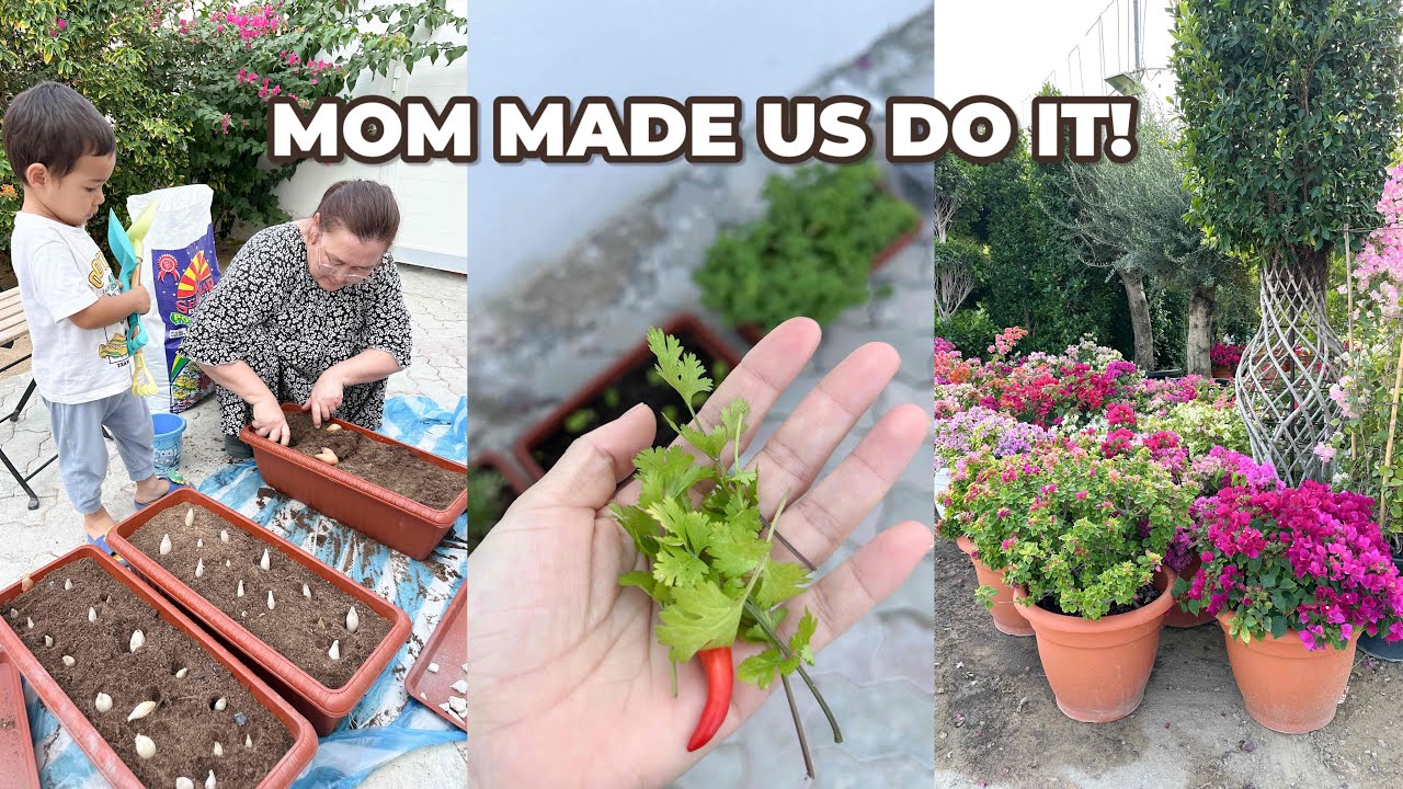 We Finally Planted Our Garden 🌱 | Family Life in Abu Dhabi | Mom Vlog