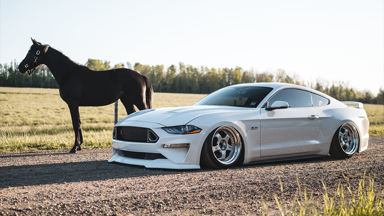 Jordan's Bagged Mustang | CAR CINEMATICS [4K]