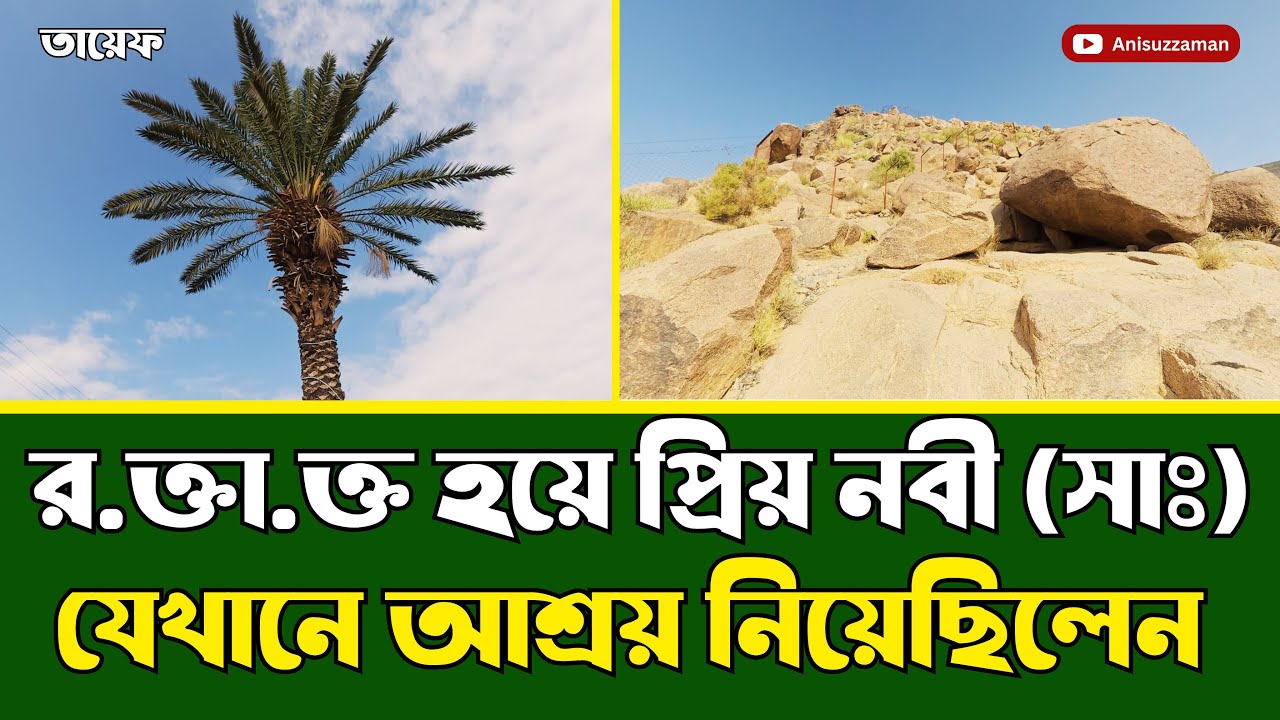 র*ক্তা*ক্ত হয়ে প্রিয় নবী (সাঃ) যেখানে আশ্রয় নিয়েছিলেন । by- Anisuzzaman