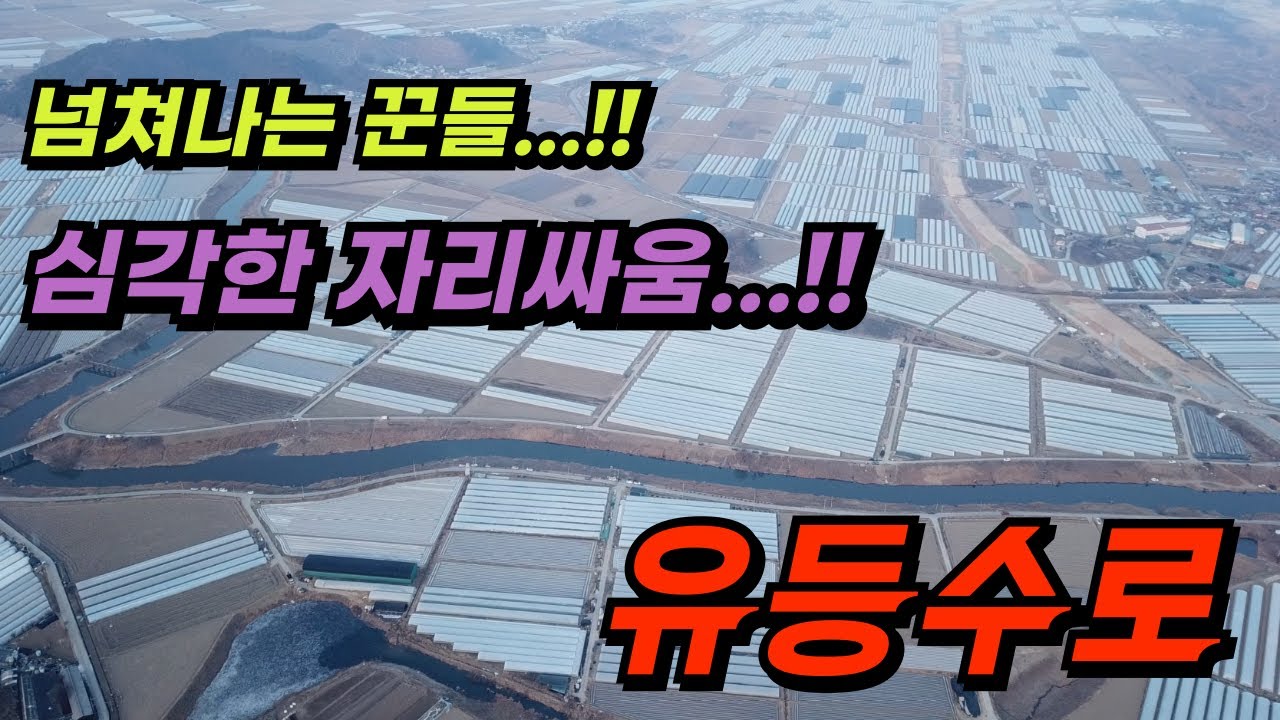 1년만에 다시 찾은 유등수로 붕어낚시! 넘쳐나는 꾼!! 어쩌나...