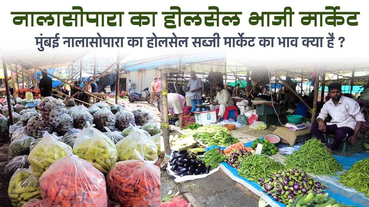 Nalasopara - Mumbai  Ka Sabse Bada Bhaji Market | Sasta Bhaji | Vegetables  Market | नालासोपारा भाजी