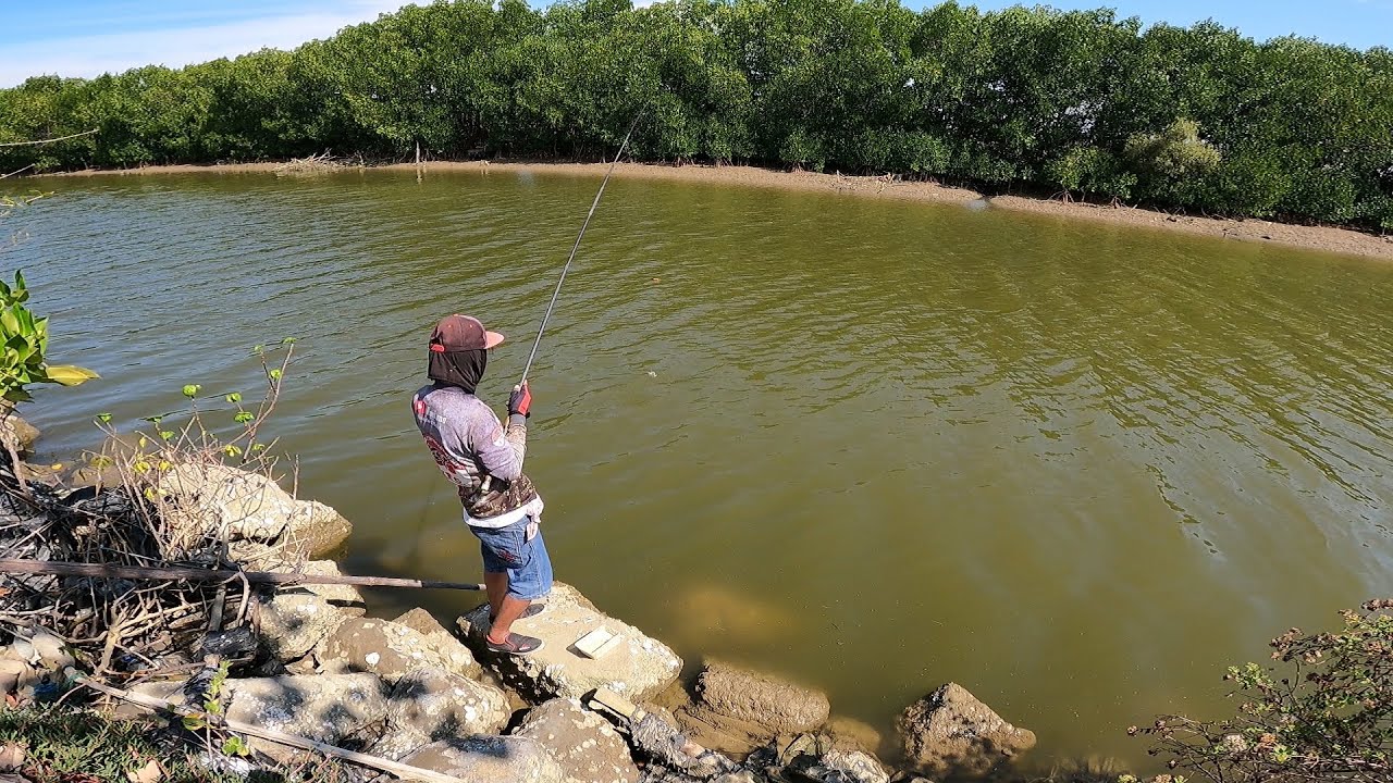 Mancing Belanak Panen Ikan Sejuta Umat : Fun Fishing Trip Indonesia