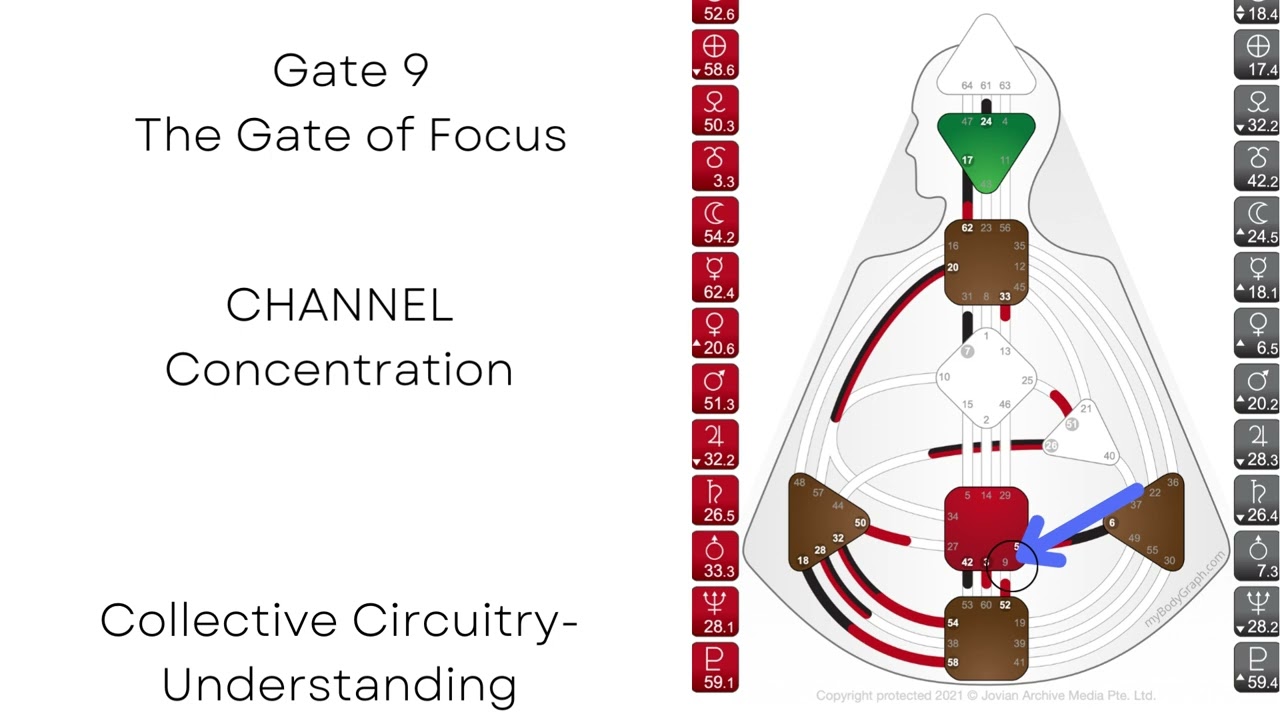 Gate 9 - The Gate of Focus - Human Design