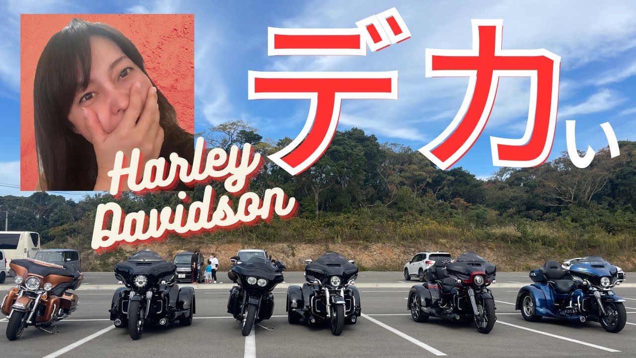 デカイバイクが集合したよ🎵Harley Davidson