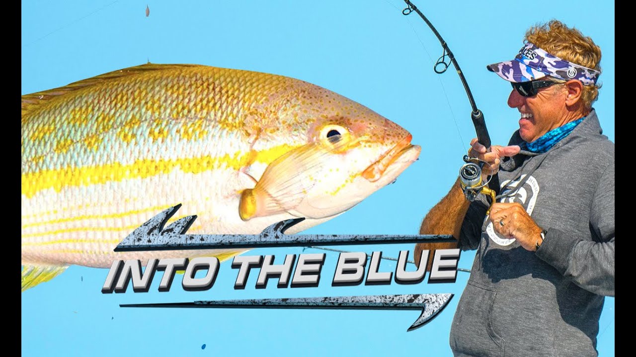 HUGE YELLOWTAIL In Key West *FISHING* in the FLORIDA KEYS | Into The Blue