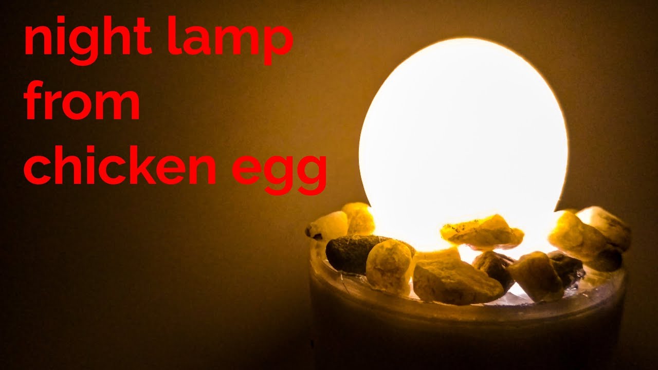turn waste into beauty  night lamp from chicken egg