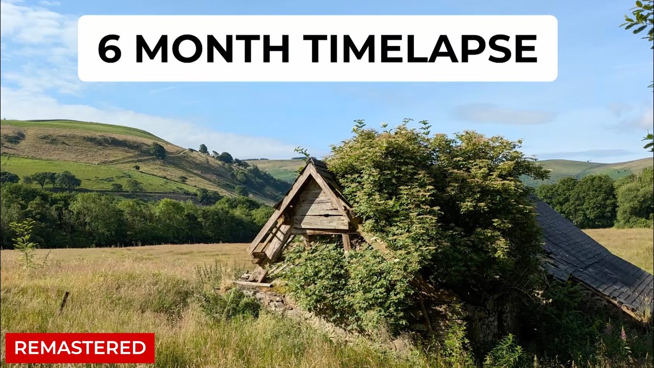 6 Months Off-Grid: Everything We’ve Done So Far [Remastered]