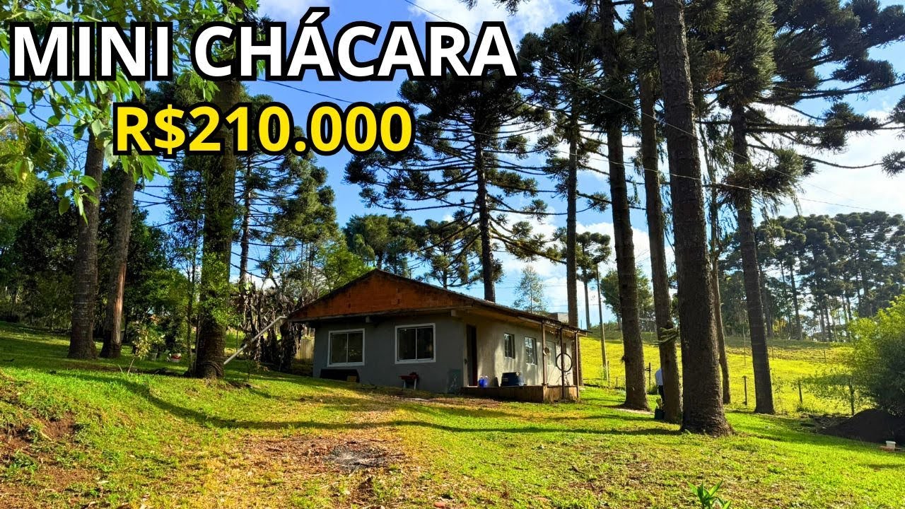 🏡 CHÁCARA À VENDA EM CAMPINA GRANDE DO SUL – 1.200M² COM CASA DE 87M² DE ALVENARIA POR R$ 210 MIL 🌳✨