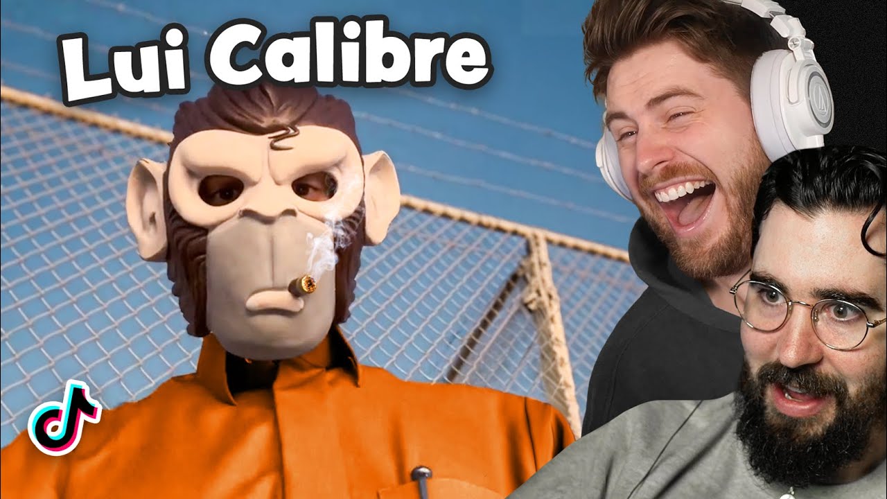 MEMES THAT EXPOSE LUI CALIBRE