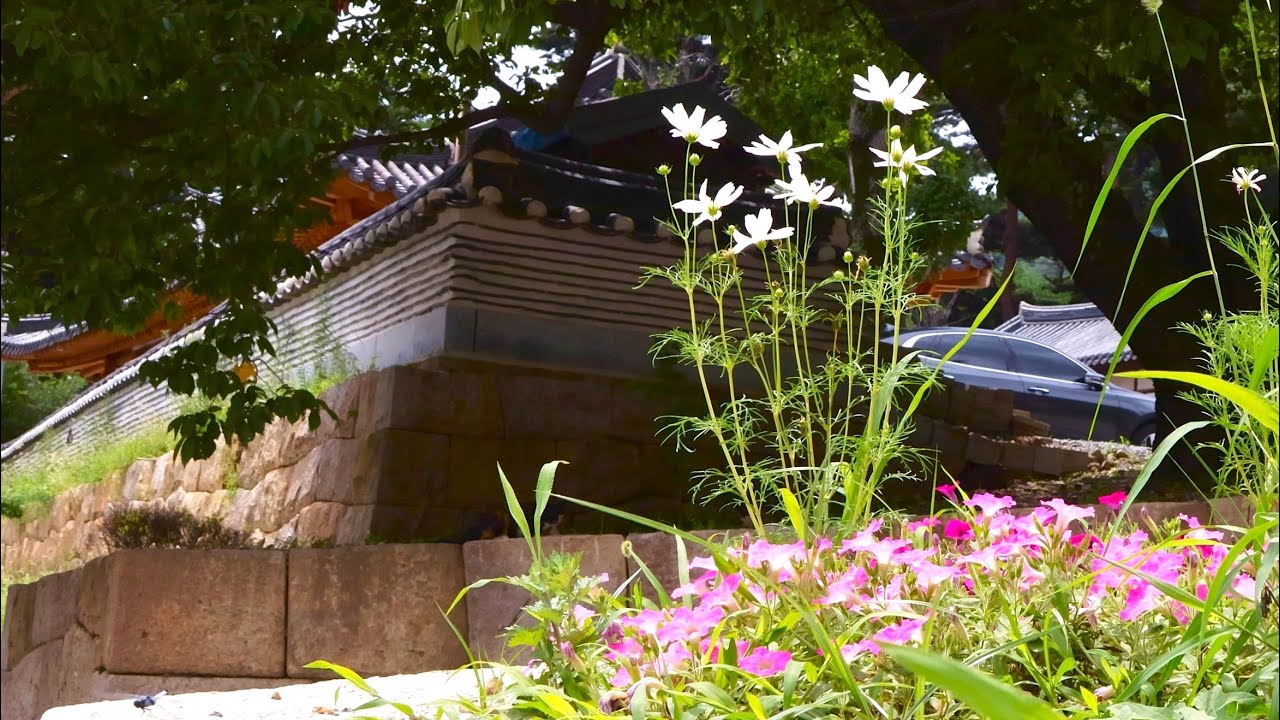 [4K]  통도사 극락암의 여름 풍경 (2025년 8월)