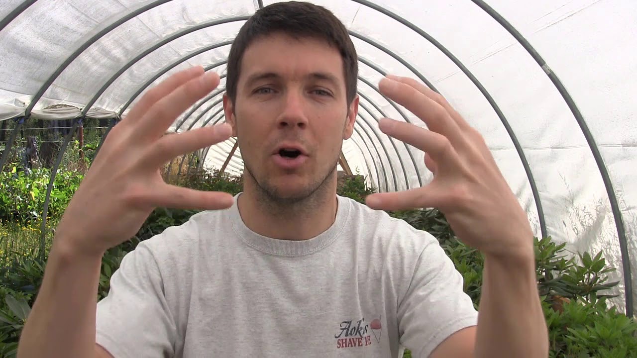 How to Get Rid of an Annoying Neighbor With a Plant