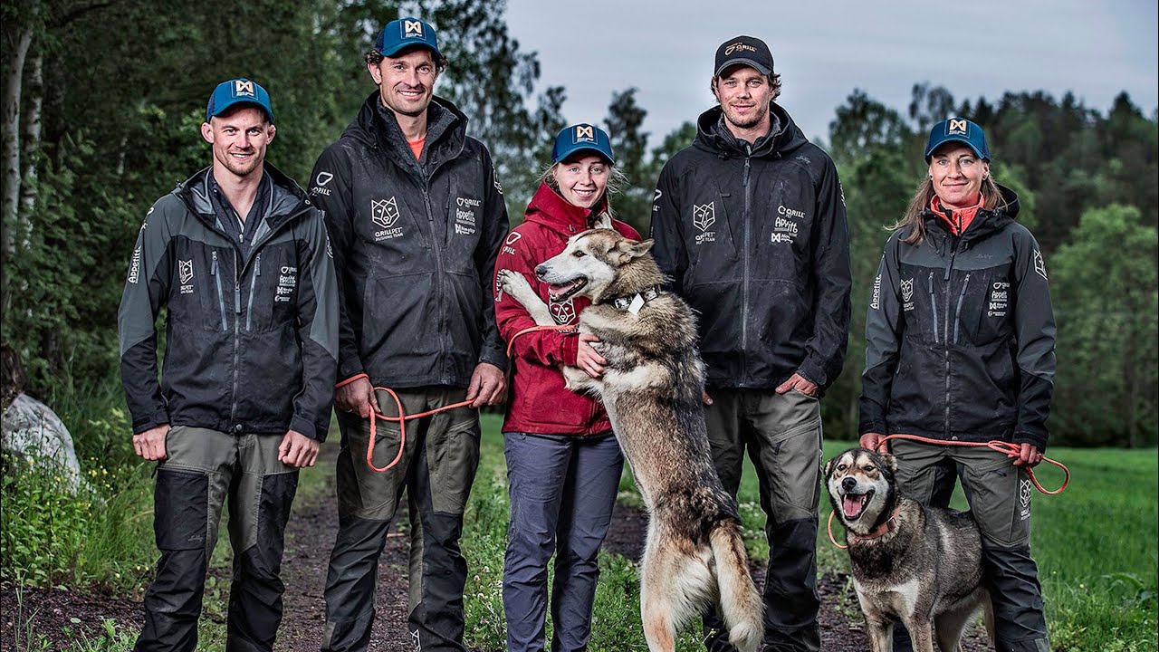 This is the QRILL Pet Mushing Team