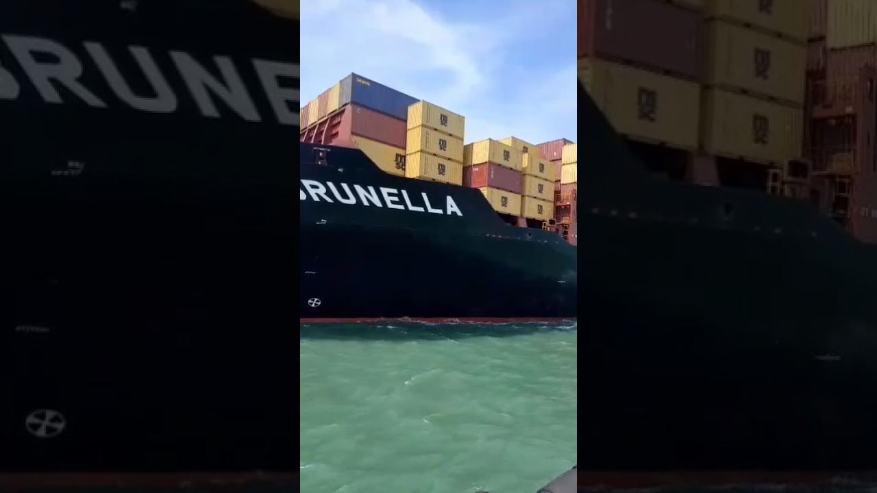 MSC BRUNELLA Leaves Container Terminal on the Maritime Silk Road  