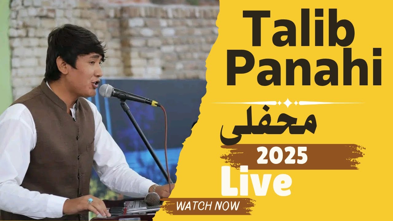 #Hazaragi Mahfili Song || Talib Panahi 2025 || هزارگی ||