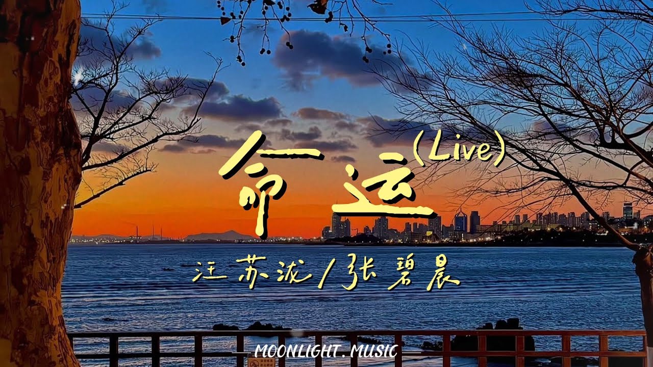 命运 (Live) - 汪苏泷/张碧晨(原唱:家家)『我属于 你的注定 不属于 我的命运 不要命 不要清醒 还有梦能紧紧抱着你』【动态歌词】#流行歌曲#新歌更新 #汪苏泷 #张碧晨