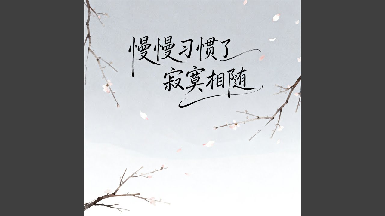 慢慢习惯了寂寞相随（男声版）