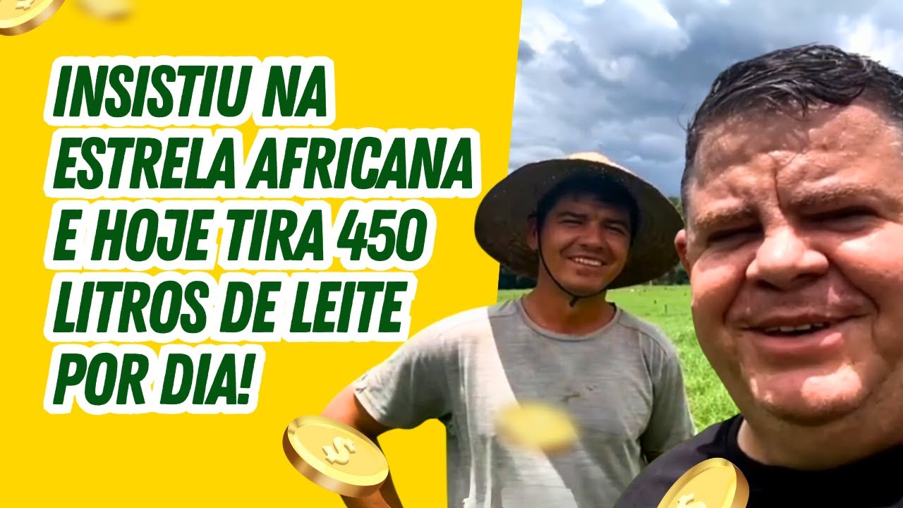 INSISTIU NA ESTRELA AFRICANA E HOJE TIRA 450 LITROS DE LEITE POR DIA!🤑💵