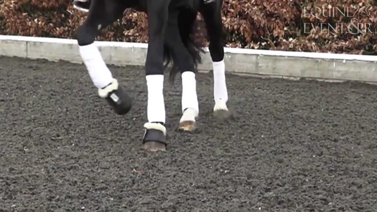 Montage | Slow Motion HD